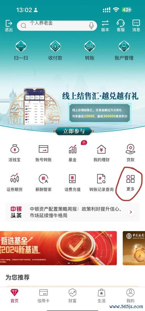 大陸外匯,大陆外汇新政出台如何应对？2024年个人换汇技巧全解析