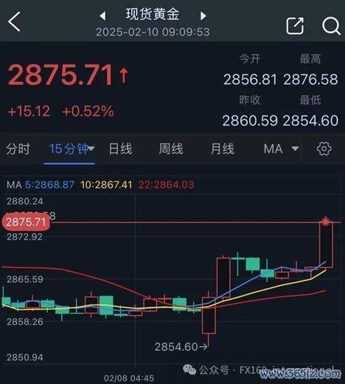 大台北外匯大台北外匯投資風險高？最新避险策略助你穩定获利