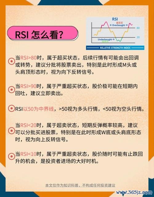 飛狼外匯評價如何？揭秘投資新手必看的三大安全指標 