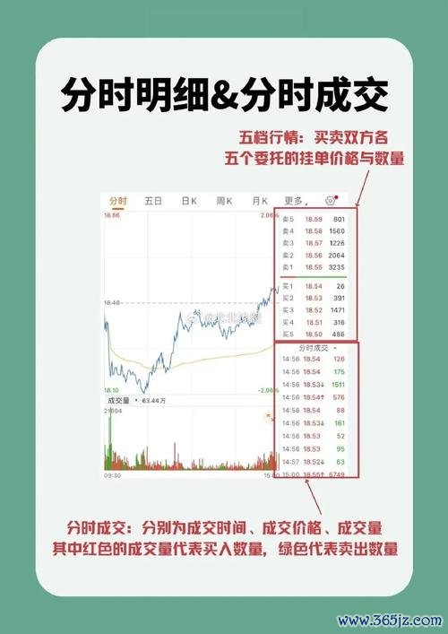 股市關測站新手必看2025掌握45個必學關鍵字華泰證券App實測教學