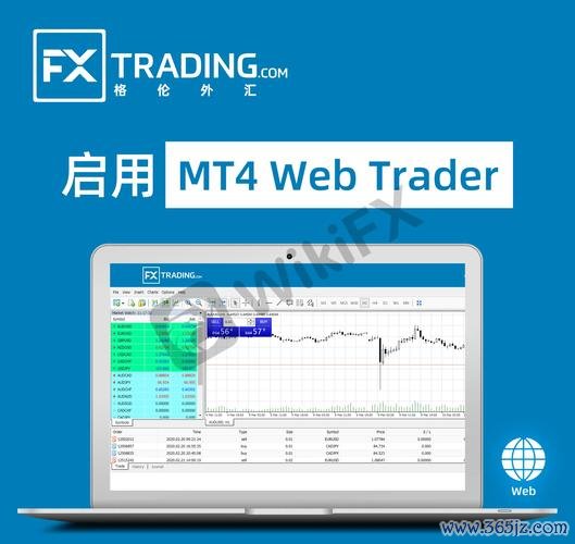 格倫外匯2024避坑指南：三大安全策略守护你的投资本金 (2)