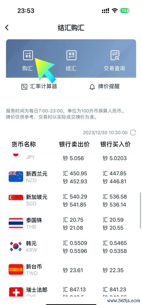 國泰外匯匯率：跨境貿易需求定制方案與國際數據解讀