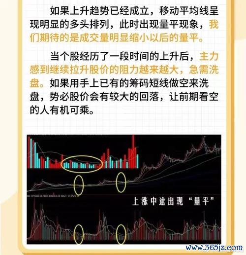 股票成交量怎麼掌握？2025最新3步驟拆解主力動向技術分析工具實測