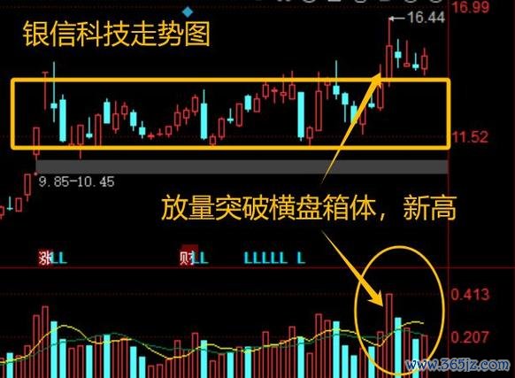 股票神達怎麼選股？2025台股必學3步驟＋實測推薦工具