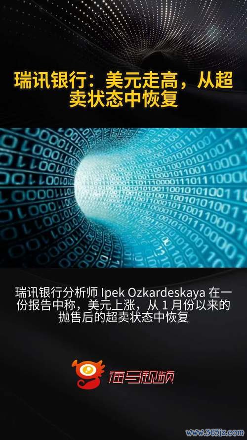 瑞訊外匯評價,瑞訊外匯評價：資金安全保障解析（瑞士FINMA監管＋10萬瑞郎賠付）