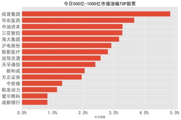 達邁股票投資佈局解析：大股東減持套現6.7億背後2024持股變動數據+權威分析
