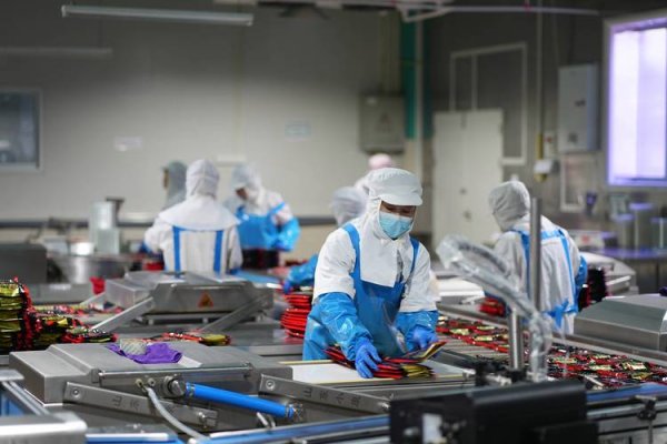 金麗科股票值得買嗎？2024半導體產業趨勢解析台灣供應鏈+專家觀點〔最新分析〕