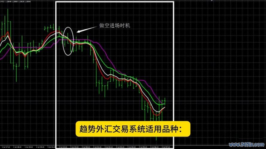 428igrancoupe外匯行业外汇需求深度解析与定制化方案数据支撑
