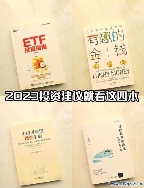 430i外汇安全吗？2024投资者必看避坑指南与资金保障