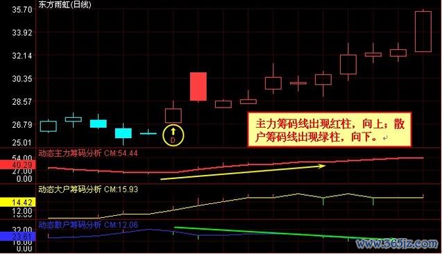 鼎元股票值得投資嗎？2024市場前景與LED概念股布局籌碼分析×專家解析